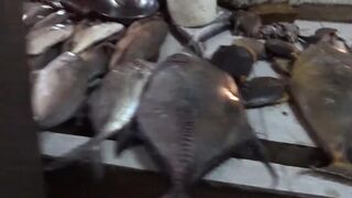 Port Louis Central Market - рыбные ряды и цены с утра