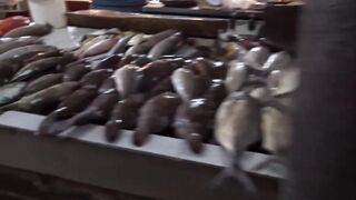 Port Louis Central Market - рыбные ряды и цены с утра
