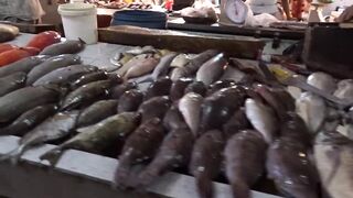 Port Louis Central Market - рыбные ряды и цены с утра