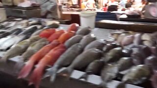 Port Louis Central Market - рыбные ряды и цены с утра