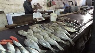 Port Louis Central Market - рыбные ряды и цены с утра