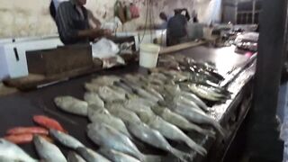 Port Louis Central Market - рыбные ряды и цены с утра