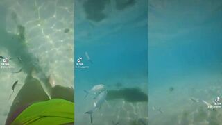 Flic en Flac underwater - рыбы у рифа, стоит ли брать спиннинг?