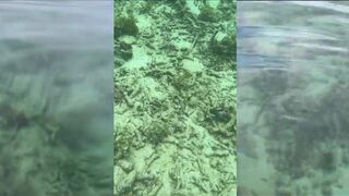 Flic en Flac: нашёл на пляже трофей, а как клев у рифа?