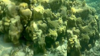 Muraena у причала - безопасна ли такая рыбалка для новичка?