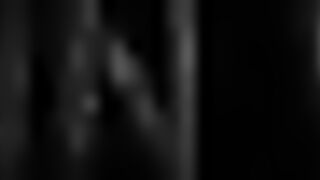 Flic en Flac — дельфины у кромки: влияет ли это на рыбалку у берега?