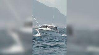 Flic en Flac — дельфины у кромки: влияет ли это на рыбалку у берега?