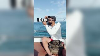 Flic en Flac — дельфины у кромки: влияет ли это на рыбалку у берега?