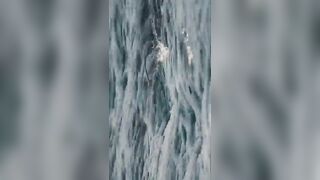 Flic en Flac — дельфины у кромки: влияет ли это на рыбалку у берега?