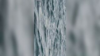 Flic en Flac — дельфины у кромки: влияет ли это на рыбалку у берега?