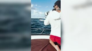 Flic en Flac — дельфины у кромки: влияет ли это на рыбалку у берега?