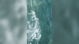 Flic en Flac — дельфины у кромки: влияет ли это на рыбалку у берега?