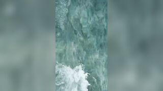 Flic en Flac — дельфины у кромки: влияет ли это на рыбалку у берега?