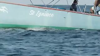 Flic en Flac — дельфины у кромки: влияет ли это на рыбалку у берега?