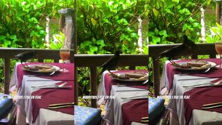 Flic en Flac, Mauritius - птицы к завтраку: а как с рыбалкой на рассвете?