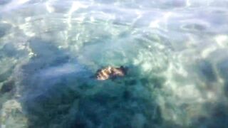 Flic en Flac, каяк-рыбалка у кромки рифа на мелководье