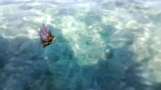 Flic en Flac, каяк-рыбалка у кромки рифа на мелководье