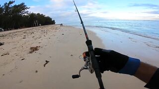 Flic en Flac - софтпластик с пляжа, проводка по краю рифа