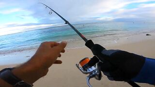 Flic en Flac - софтпластик с пляжа, проводка по краю рифа