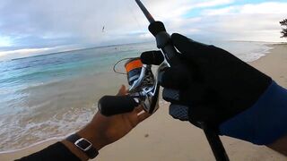 Flic en Flac - софтпластик с пляжа, проводка по краю рифа