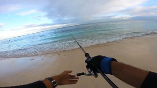 Flic en Flac - софтпластик с пляжа, проводка по краю рифа