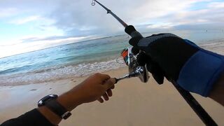 Flic en Flac - софтпластик с пляжа, проводка по краю рифа