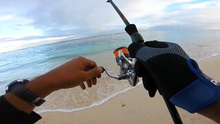 Flic en Flac - софтпластик с пляжа, проводка по краю рифа
