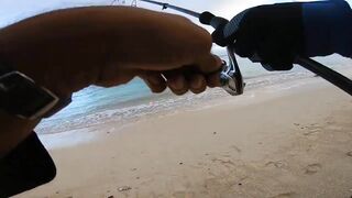 Flic en Flac - софтпластик с пляжа, проводка по краю рифа