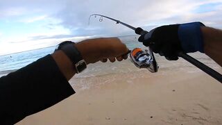 Flic en Flac - софтпластик с пляжа, проводка по краю рифа