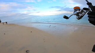 Flic en Flac - софтпластик с пляжа, проводка по краю рифа