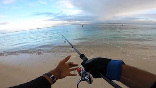 Flic en Flac - софтпластик с пляжа, проводка по краю рифа