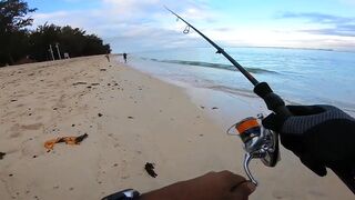 Flic en Flac - софтпластик с пляжа, проводка по краю рифа