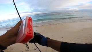 Flic en Flac - софтпластик с пляжа, проводка по краю рифа