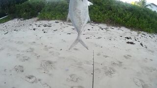 Palmar и Flic en Flac: морская рыбалка на пляжах Маврикия