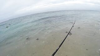 Palmar и Flic en Flac: морская рыбалка на пляжах Маврикия