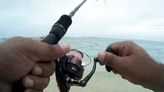 Palmar и Flic en Flac: морская рыбалка на пляжах Маврикия