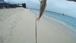 Palmar и Flic en Flac: морская рыбалка на пляжах Маврикия