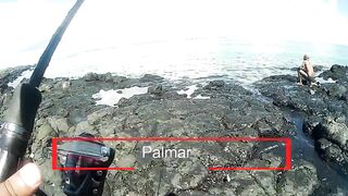 Palmar и Flic en Flac: морская рыбалка на пляжах Маврикия