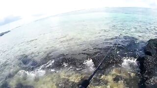 Palmar и Flic en Flac: морская рыбалка на пляжах Маврикия