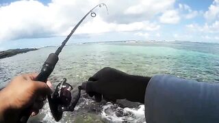 Palmar и Flic en Flac: морская рыбалка на пляжах Маврикия