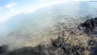 Palmar и Flic en Flac: морская рыбалка на пляжах Маврикия