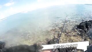 Palmar и Flic en Flac: морская рыбалка на пляжах Маврикия