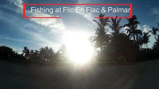 Palmar и Flic en Flac: морская рыбалка на пляжах Маврикия