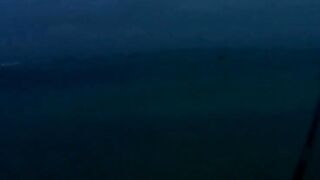 Palmar и Flic en Flac: морская рыбалка на пляжах Маврикия