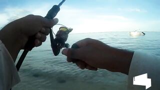 Palmar и Flic en Flac: морская рыбалка на пляжах Маврикия