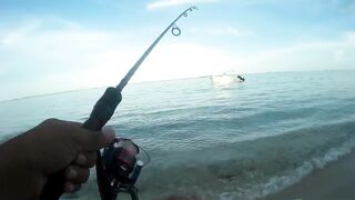 Palmar и Flic en Flac: морская рыбалка на пляжах Маврикия