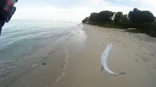 Palmar и Flic en Flac: морская рыбалка на пляжах Маврикия