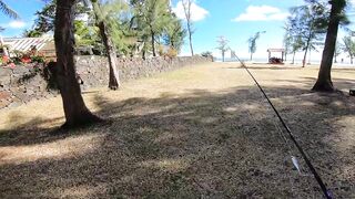 Wolmar Beach, Flic en Flac: shore casting с рассвета