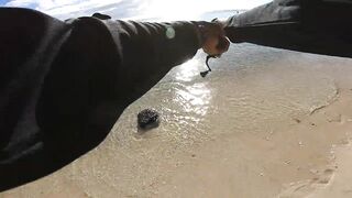 Wolmar Beach, Flic en Flac: shore casting с рассвета