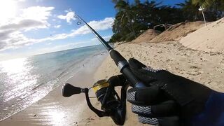 Wolmar Beach, Flic en Flac: shore casting с рассвета